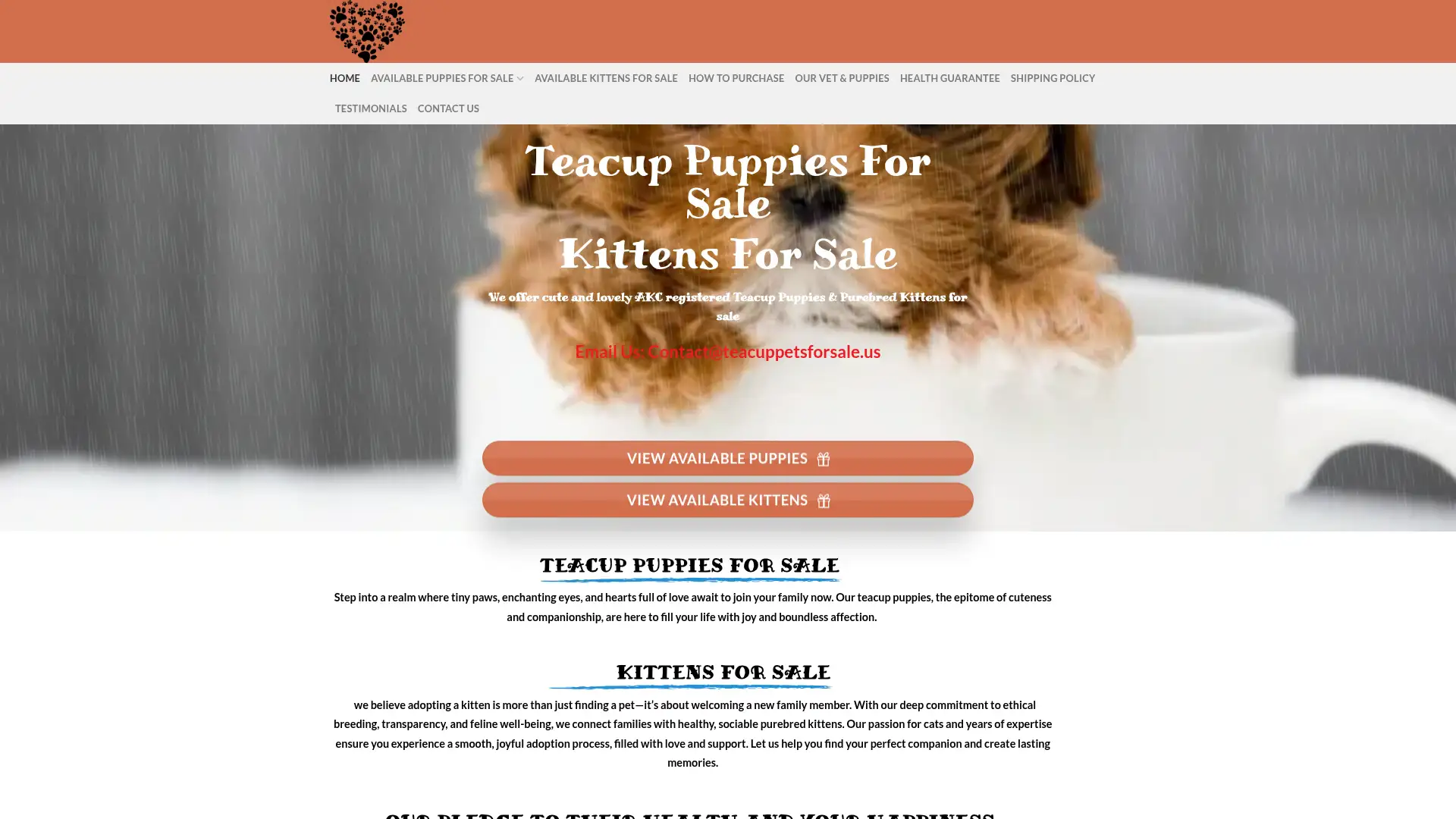 teacuppetsforsale.us screenshot