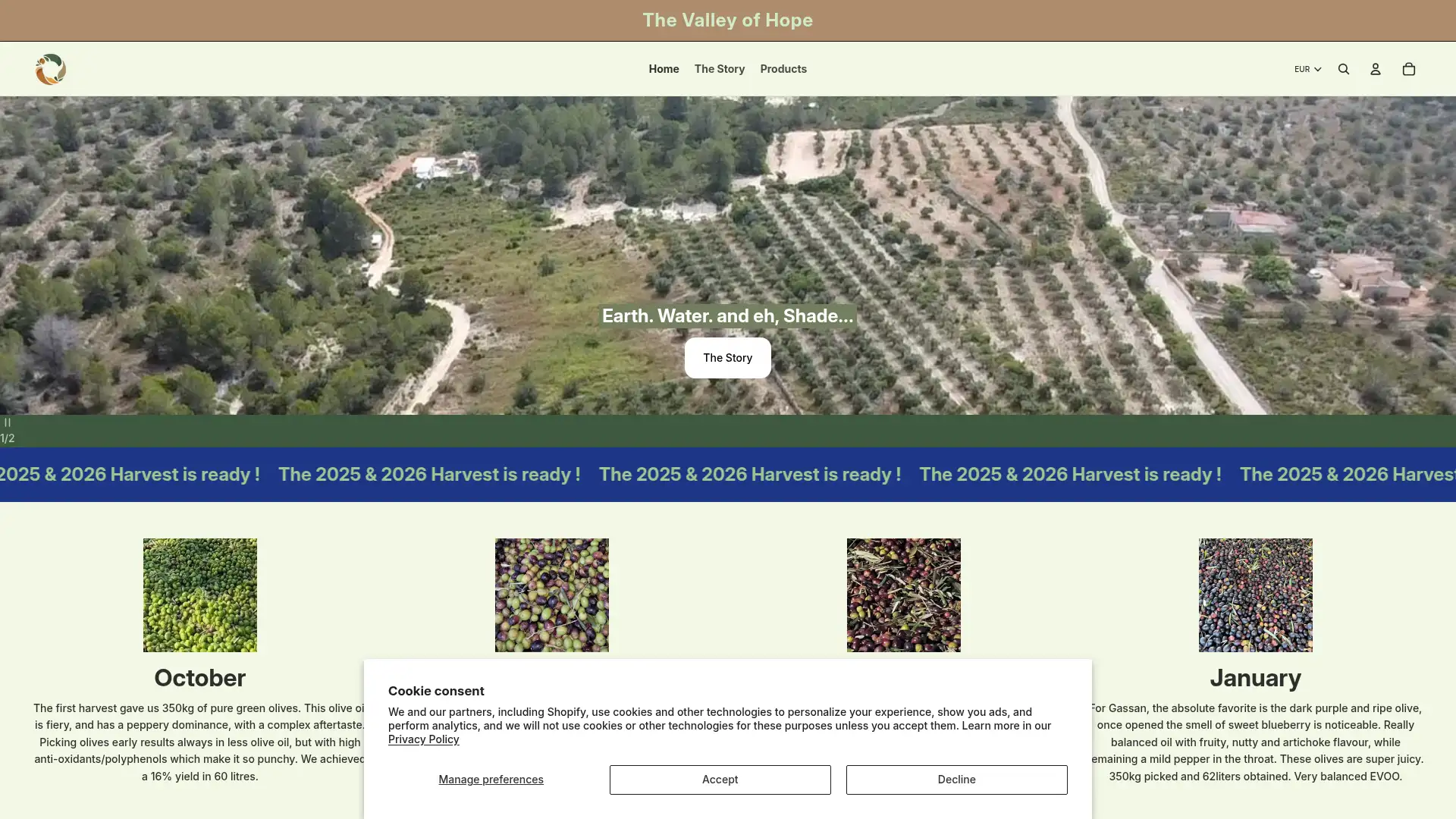 valleyofhope.es screenshot