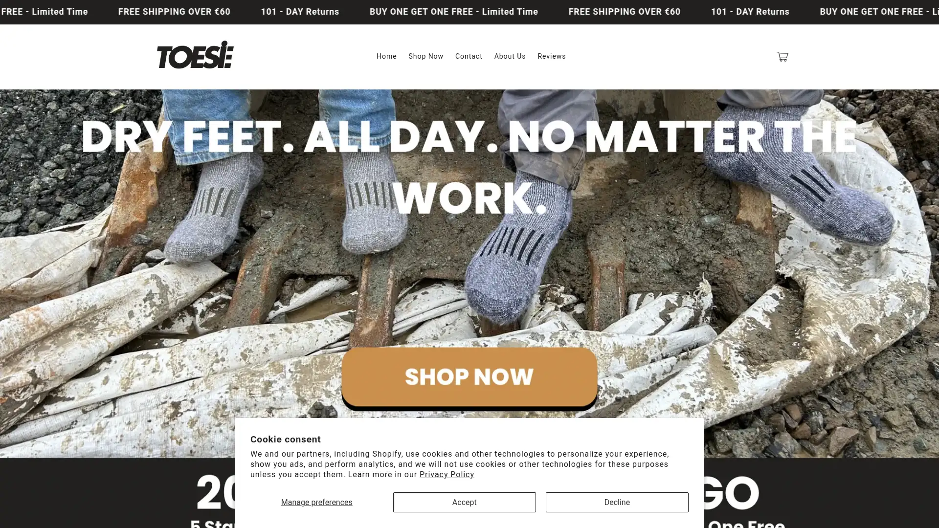 toesie.ie screenshot