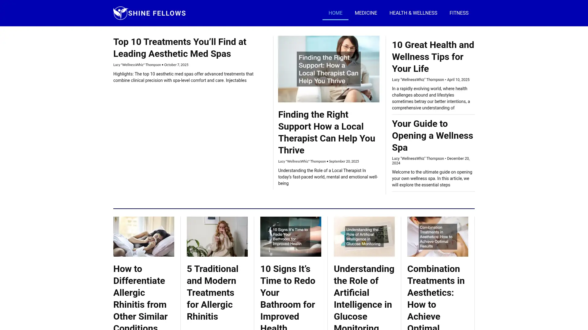 shinefellows.org screenshot
