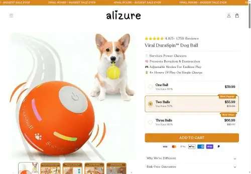 alizure.com screenshot