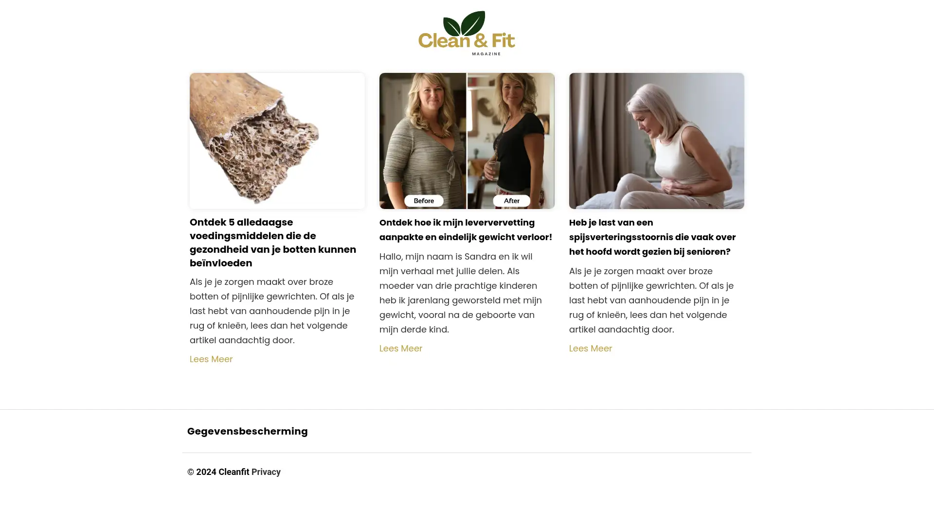 cleanfitmagazine.nl screenshot