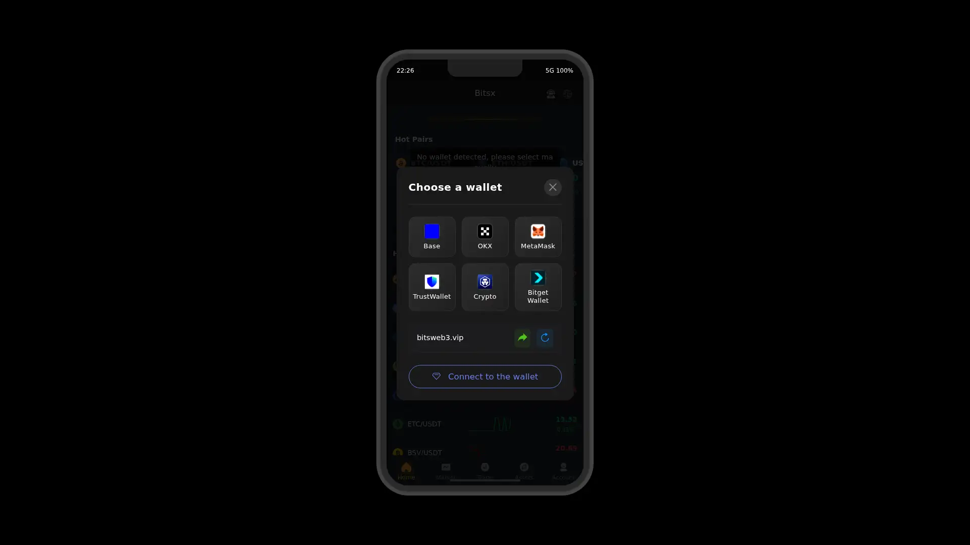 bitsweb3.vip screenshot