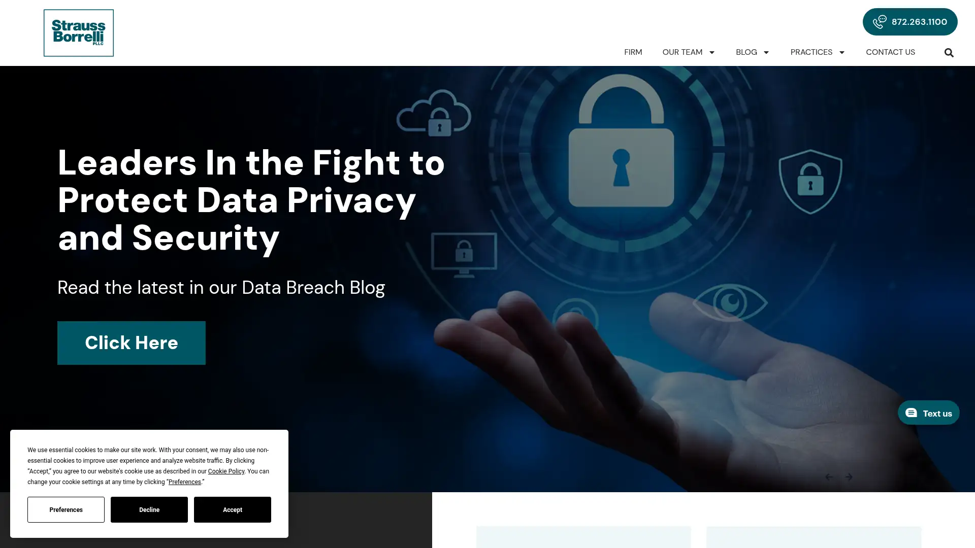 straussborrelli.com screenshot