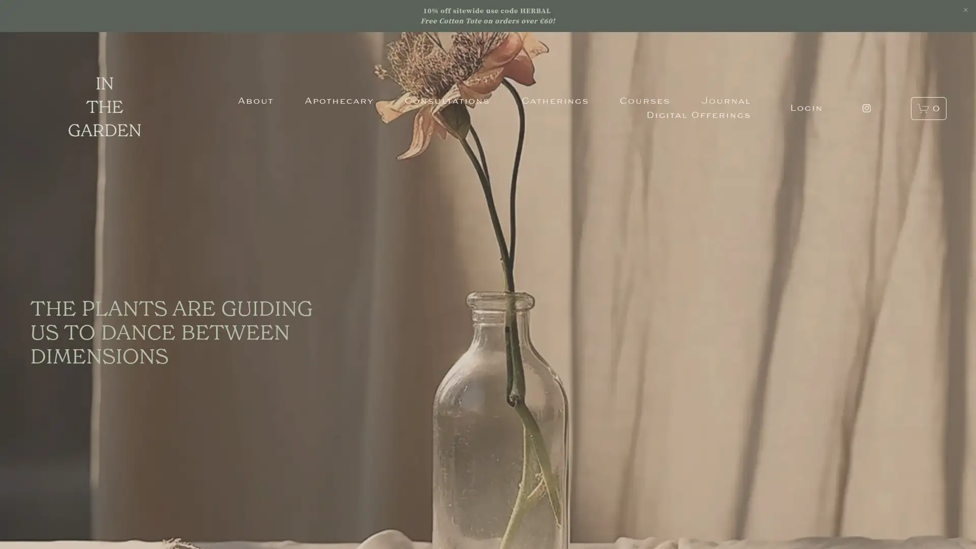 inthegarden.ie screenshot