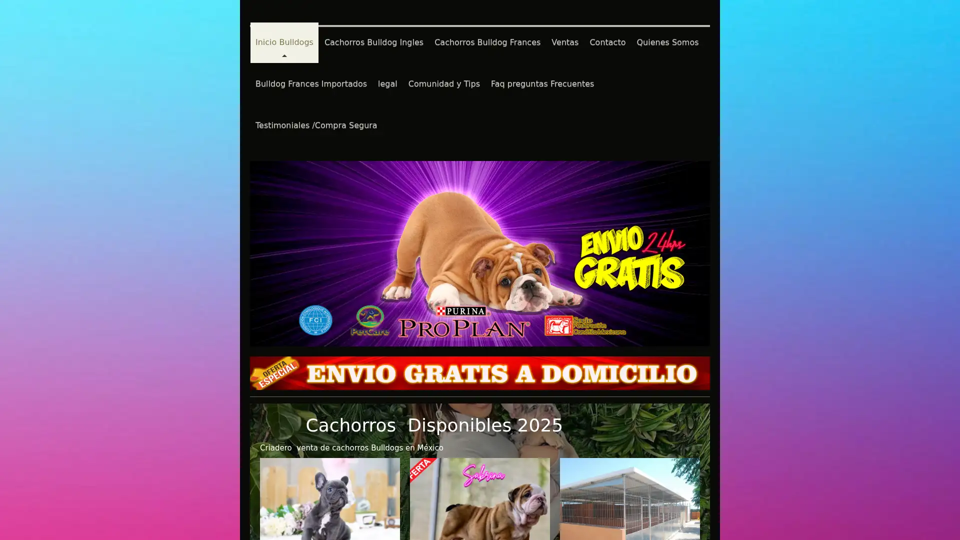 ventadeperrosbulldogs.com screenshot