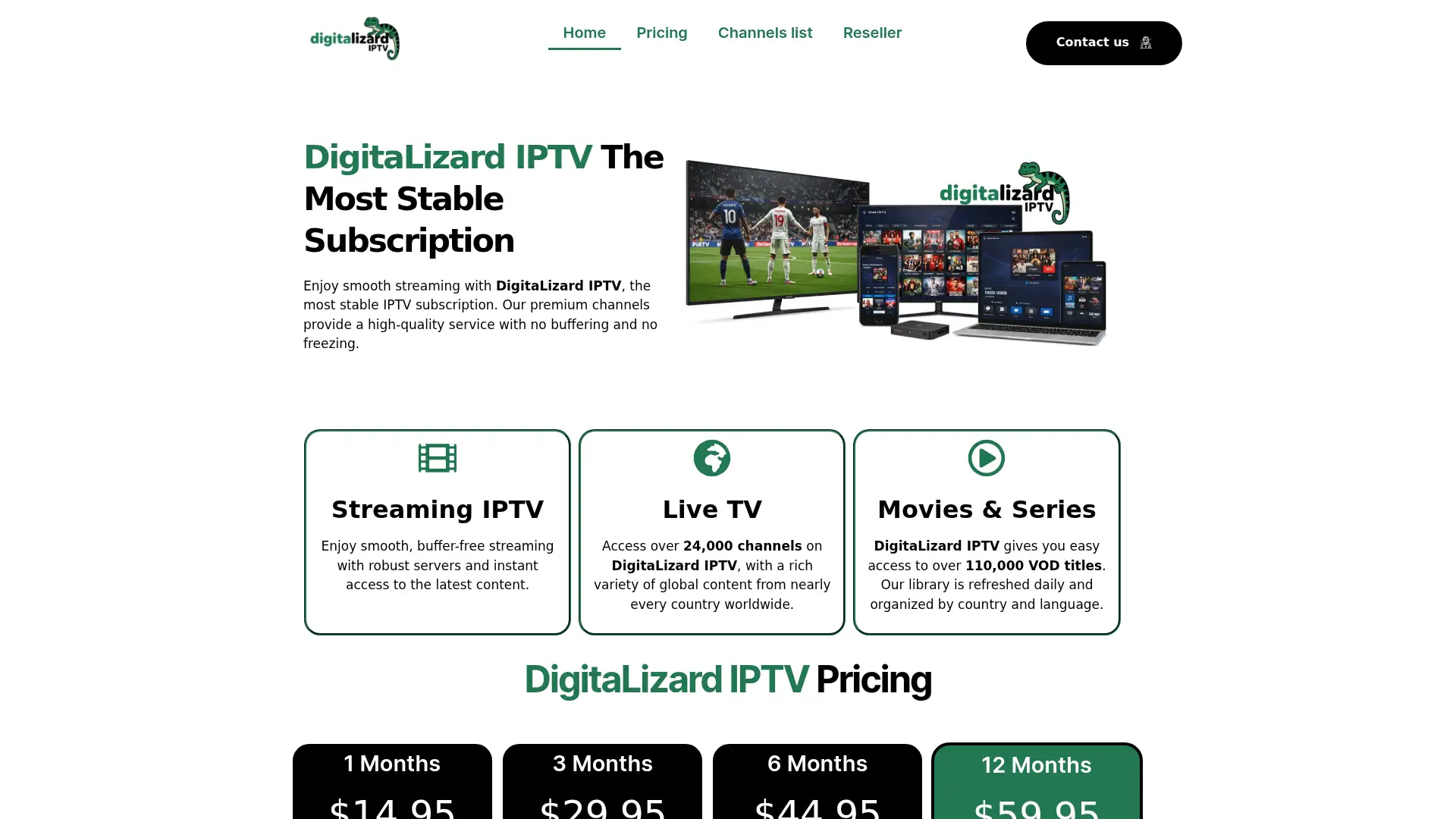 digitalizardiptv.org screenshot