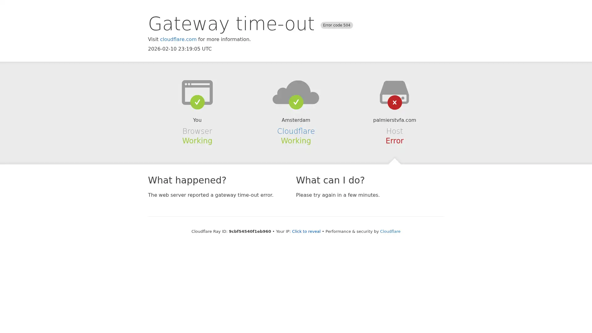 palmierstvfa.com screenshot