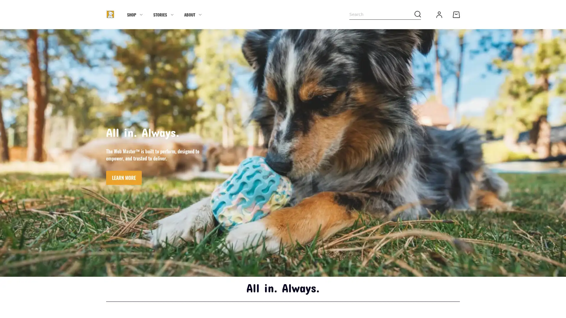 seanluciw.com screenshot